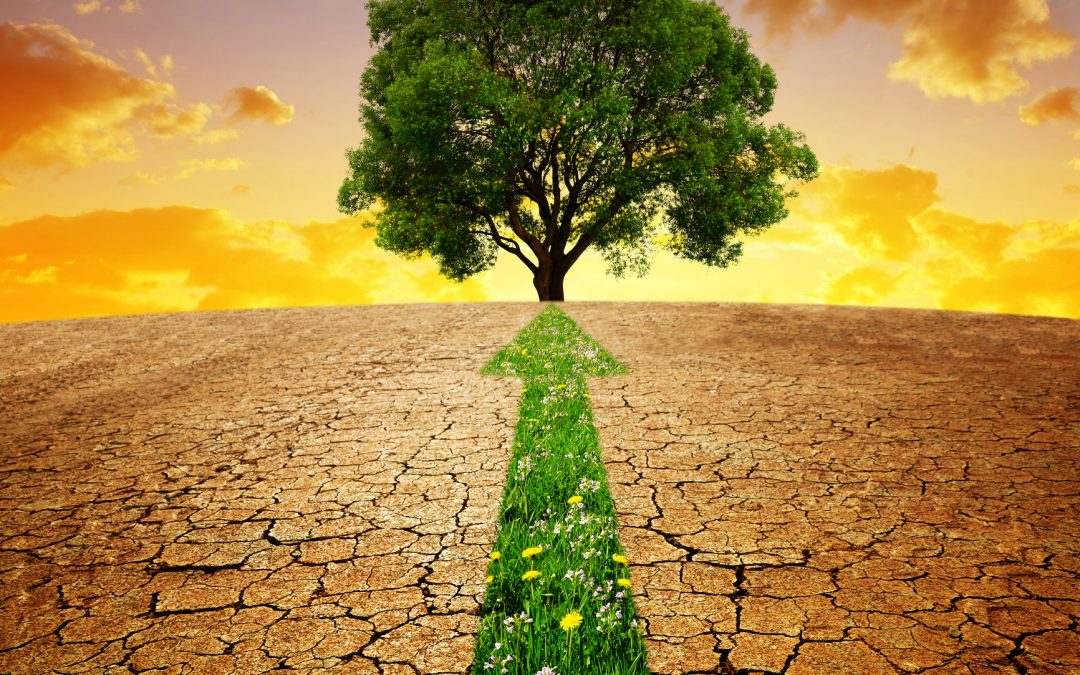 Kurumsal Sürdürülebilirlik Raporlama Direktifi (CSRD):  İş Dünyası İçin Yeni Dönem