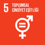 Toplumsal Cinsiyet Eşitliği