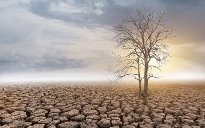 Should we fear the Climate Law? or is it out savior?