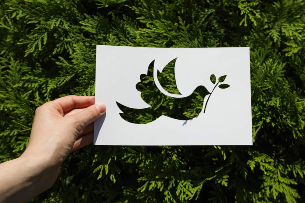 International Day of Peace