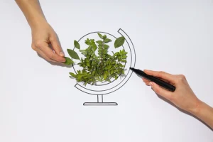 Sürdürülebilirlikte Arabuluculuk: Dönüşümün Etik Zemini