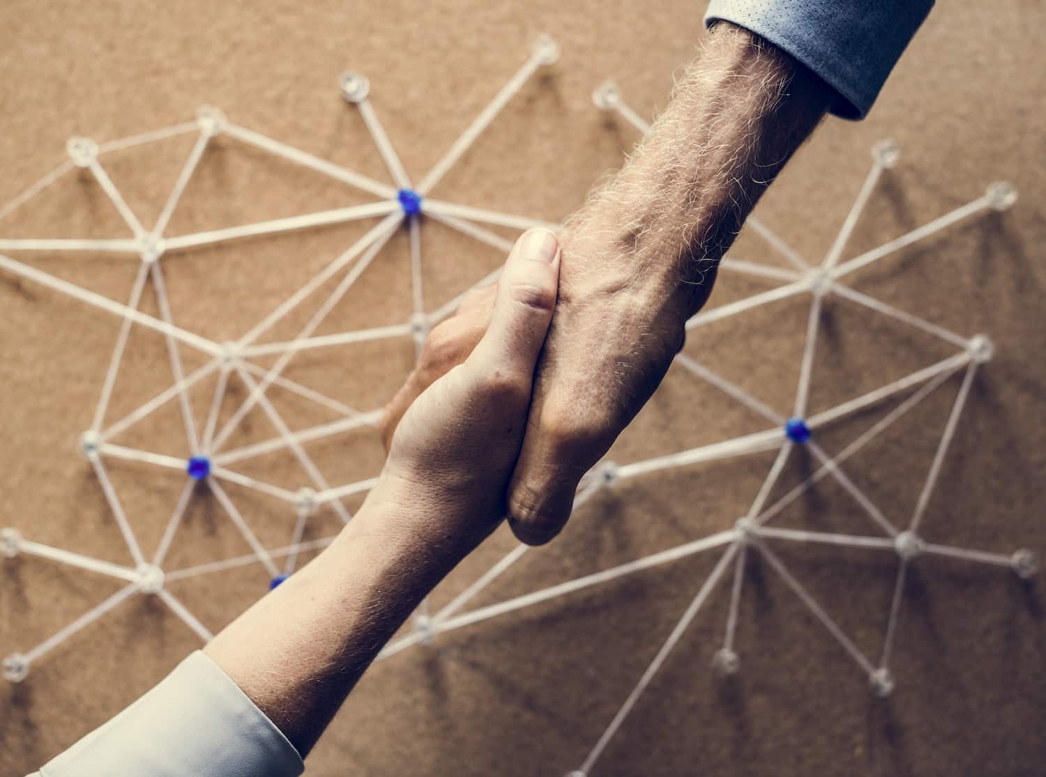 Edelman Trust