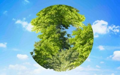 What You Need to Know About the Turkey Green Taxonomy